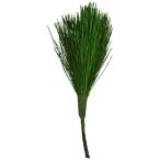  консервированный Kanto тип . бог сосна средний (1 пачка )