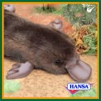 HANSA �n���T �ʂ������ 3635 �J���m�n�V �����̂͂� ���A�� ����