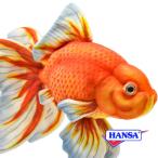 ショッピング金魚 HANSA ハンサ ぬいぐるみ 8539 リュウキン 琉金 金魚 リアル 魚 サカナ