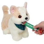 イワヤ コミュニケーションペット ちゅーるあげるね チワマルちゃん チワワ 犬 電子ペット