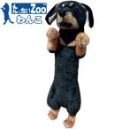 ��������Zoo ��� �~�j�`���A�_�b�N�X�t���h ���̂ʂ������