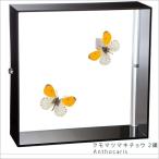  насекомое образец бабочка. образец kmomatsumakichou2 голова акрил рама чёрный 