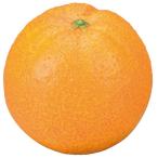 お供え果物 オレンジ くだもの 食品サンプル