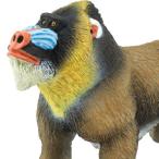 マンドリル Amazon 楽天 ヤフー等の通販価格比較 最安値 Com