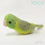 ぬいぐるみ101 サザナミインコ