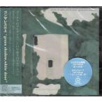 green shadow white door ／ ゴンザレス三上 (CD)