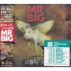 ホワット・イフ…（日本特別制作DVD付き限定盤） ／ MR.BIG (CD、DVD)