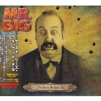 …ザ・ストーリーズ・ウイ・クッド・テル ／ MR.BIG (CD、DVD)