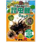昆虫館 こんちゅうかん ウォッチング (DVD)
