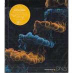 DNA（DVD付） ／ MONKEY MAJIK (CD、DVD) [送料無料]