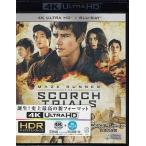 メイズ・ランナー2：砂漠の迷宮＜4K ULTRA HD＋2Dブルーレイ＞ (Blu-ray)