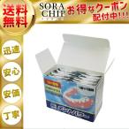 デントパワー 入れ歯洗浄剤 10ヵ月用 40包