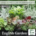  wing lishu garden set [A] Hyuga city day .... make garden . less pesticide cultivation 9 goods kind 17 piece set production person direct delivery 