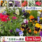 商品画像3