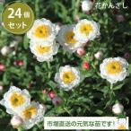 ［12/23より発送開始］花かんざ...