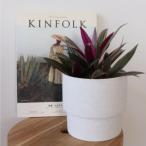 ［生産者直送］陶器鉢セットムラサキ...