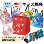 福袋 子供 2024 キッズ 手袋 靴下 イヤーマフ リュック 耳当て 半額 男の子 女の子 プールバッグ 3歳 4歳 5歳
