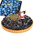 クリスマスケーキ ブルーベリー タルトケーキ 6号 サイズ カスタードクリーム 入り クリスマス 飾り付 スイーツ christmas xmas
