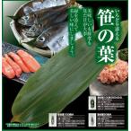 笹の葉 つる無 100枚 和食 飾り葉 敷き葉 青笹 便利笹 サイズ選べる (S,M) 業務用　真空パック入り (M)