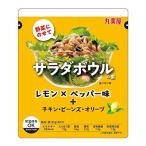 丸美屋食品工業 サラダボウルの素 レモン×ペッパー 95g ×8個