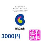 【翌営業日迄にID通知専用商品】 BitCash 3000円