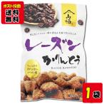 レーズンかりんとう 90g入り 保存料・酸化防止剤不使用 山脇製菓