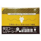 記念品・福利厚生・防災・啓発に!　役立つレジャーシート