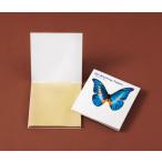 イベント 縁日 催物 抽