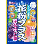 ライオン菓子 花粉プラスはなのど飴 70g×6個