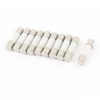 uxcell セラミックヒューズ チューブ 10個入 250V 25A F25A 5x20mm