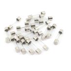 uxcell クイックブロー ガラス管ヒューズ メタル製クリア 6x30mm 13Amp 250V 12個入り