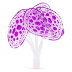 uxcell VOCOSTE аквариум симуляция коралл soft силикон g гребля присоска имеется флуоресценция человеческий труд водное растения аквариум. оборудование орнамент для лиловый 