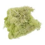 PATIKIL 3.5 унция поддельный Moss сохранение осуществлен северный олень Moss человеческий труд Moss li талон центральная стойка -s украшение свет желтый зеленый 