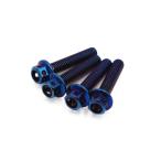 uxcell болт 4 шт красочный titanium сплав мотоцикл болт с шестигранной головкой винт застежка-молния M6 x 3mm