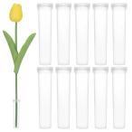 M METERXITY 20 штук входит. цветок. вода труба диаметр 2.8" емкость 10ml. пластиковый цветок. вода труба цветок. аранжировка для колпак имеющий цветок. вода труба [ прозрачный ]