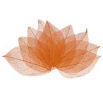 M METERXITY 100 упаковка. каркас leaf, натуральный резина tree. сухой вдавлено . лист, resin / свадьба для, маленький лист. оборудование орнамент [4-6cm,n-do]