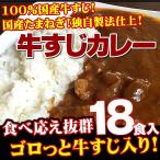 ショッピングカレー 牛すじカレー 18袋 100％国産 牛すじ たまねぎ使用 中辛 惣菜 レトルト 送料無料 非常食 おつまみ 珍味 牛肉 ご飯のお供 贅沢