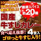 牛すじカレー 4袋 100％国産 牛すじ 