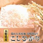 米 お米 10kg こしひかり 白米 長野県産 令和2年産 送料無料 大人気銘柄の一等米 グルメ 送料無料