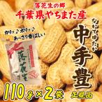 令和元年 新豆 千葉県やちまた産 からつき落花生 ただ今10g増量中 高級感あるクラフト袋入 中手豊品種 110g×2袋 ナッツ 全国送料無料 セール グルメ