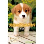Yahoo! Yahoo!ショッピング(ヤフー ショッピング)天国の犬ものがたり~未来~  藤咲 あゆな 新書 ＢＣ:並上 J0751B