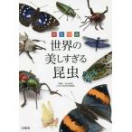 原色図鑑 世界の美しすぎる昆虫 丸山 宗利 単行本 Ｂ:良好 C0620B
