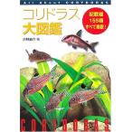 コリドラス大図鑑―All About Corydoras 小林 圭介 Ｃ:並 F0380B