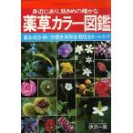 身近にあり、効きめの確かな 薬草カラー図鑑 薬効・成分・用い方・歴史・採取法・栽培法オールガイド 伊沢 一男 Ｃ:並 AA710B