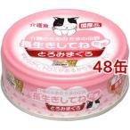 たまの伝説 長生きしてね たま ( 70g*48コセット )/ たまの伝説 ( キャットフード )