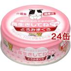 たまの伝説 長生きしてね たま ( 70g*24コセット )/ たまの伝説 ( キャットフード )