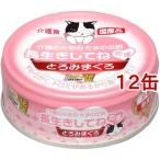 たまの伝説 長生きしてね たま ( 70g*12コセット )/ たまの伝説 ( キャットフード )