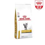 ロイヤルカナン 猫用 ユリナリーS/O オルファクトリー ( 4kg )/ ロイヤルカナン療法食