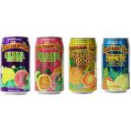 ハワイアンサン4種アソートパック ( 340ml*24本入 )/ ハワイアンサン