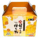 愛媛県産柑橘ジュース
